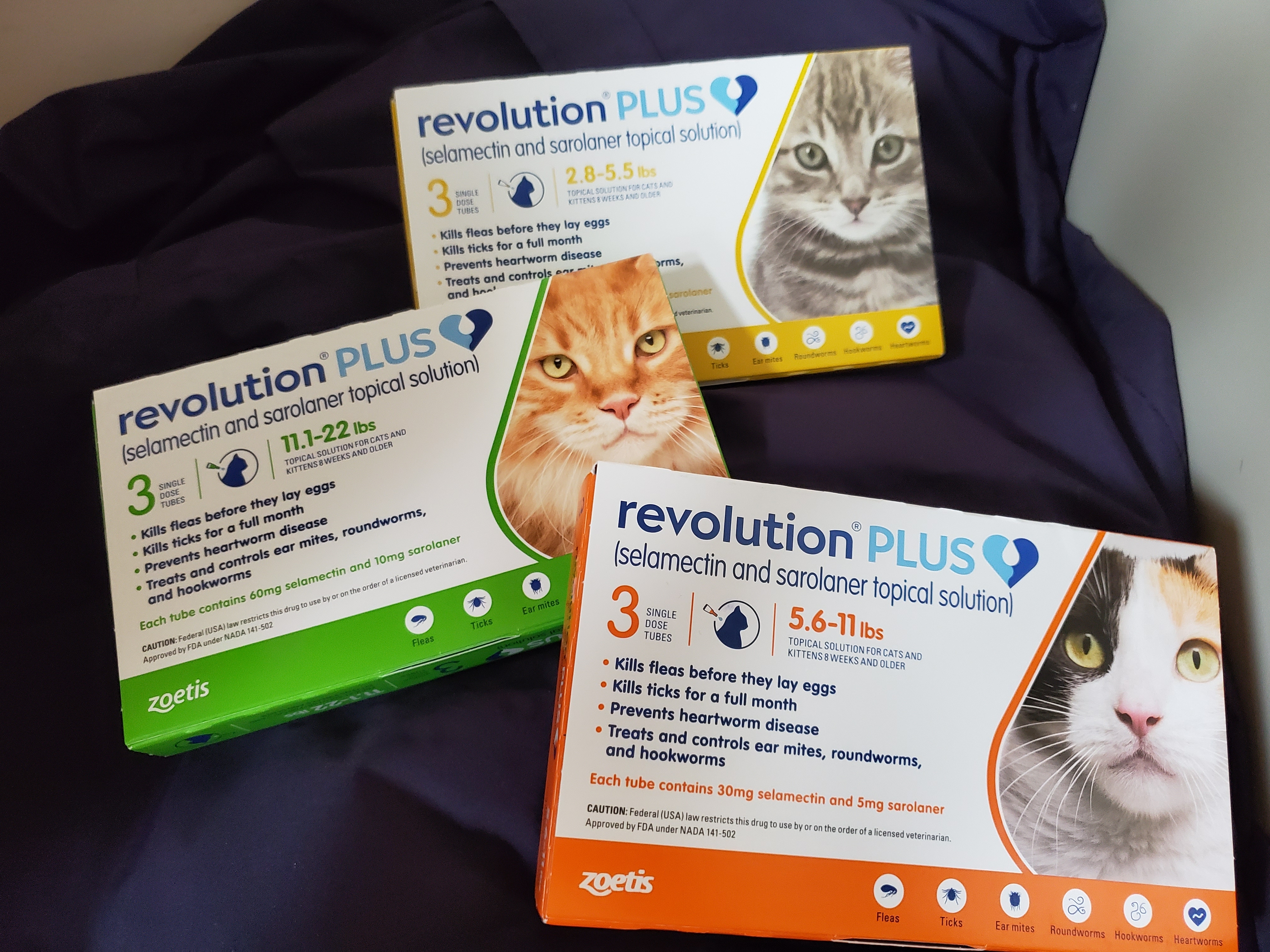 Revolution Plus for Cats!