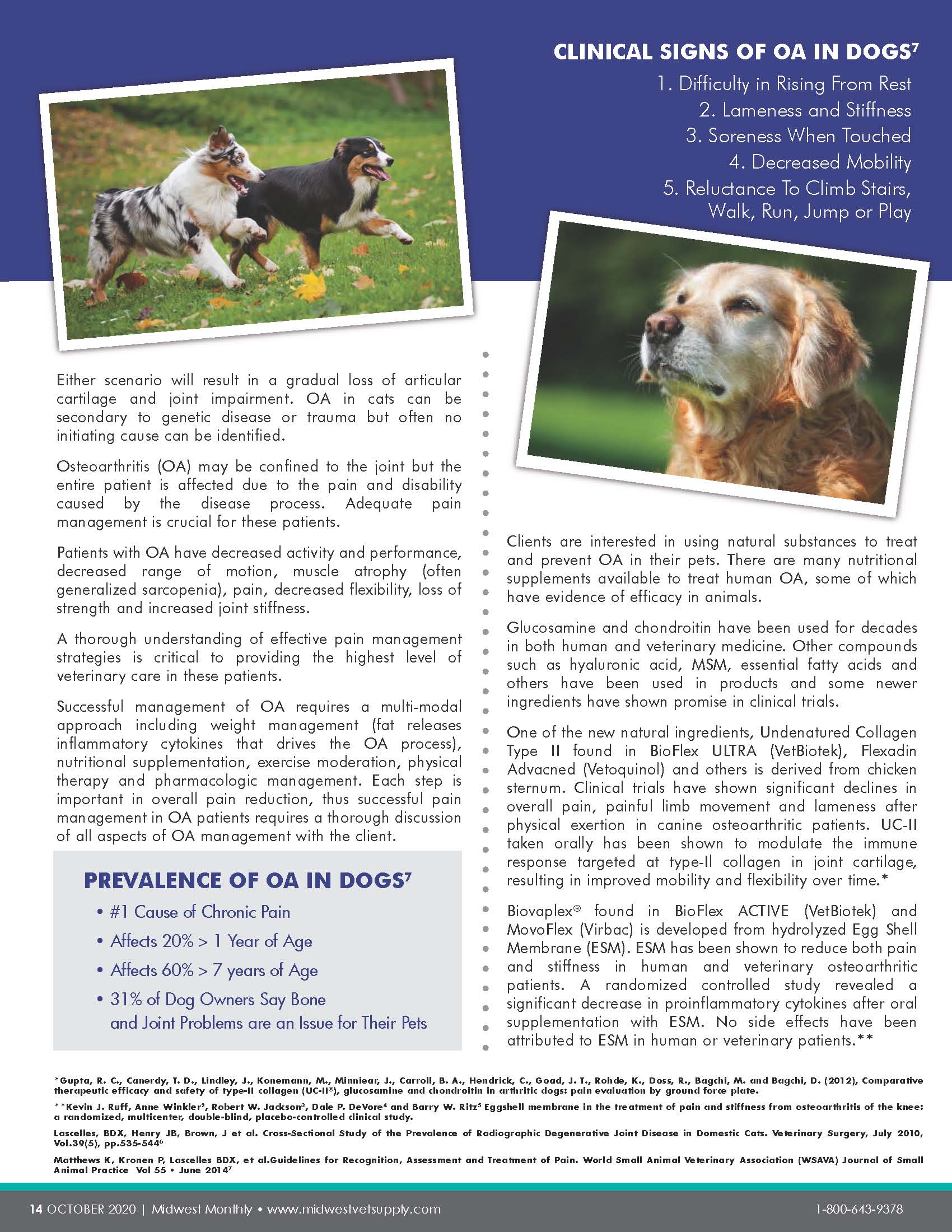 Osteoarthritis in Dogs